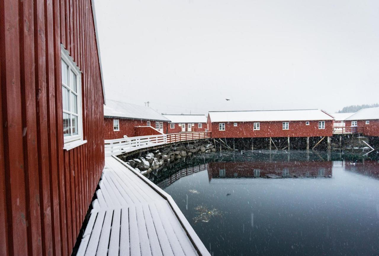 Lofoten Cabin And Kayak Rental ستامسوند المظهر الخارجي الصورة