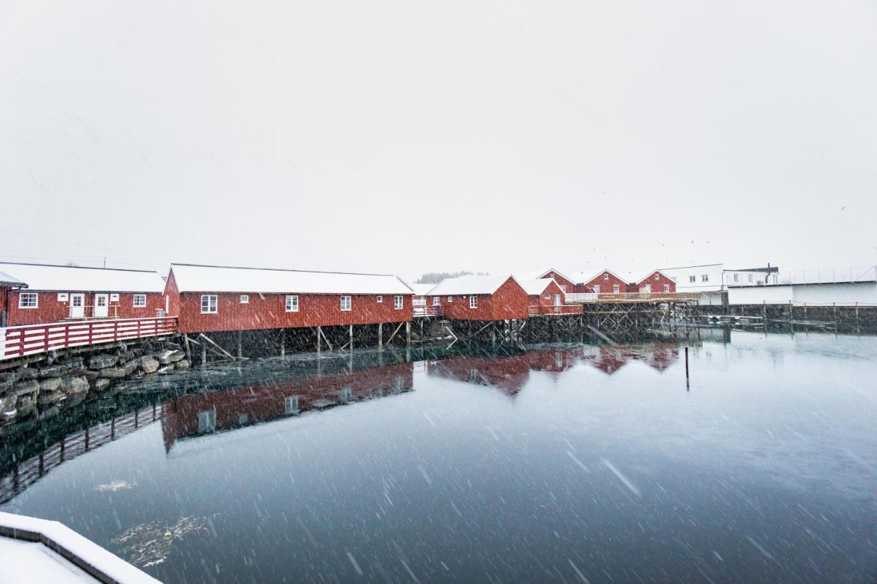 Lofoten Cabin And Kayak Rental ستامسوند المظهر الخارجي الصورة