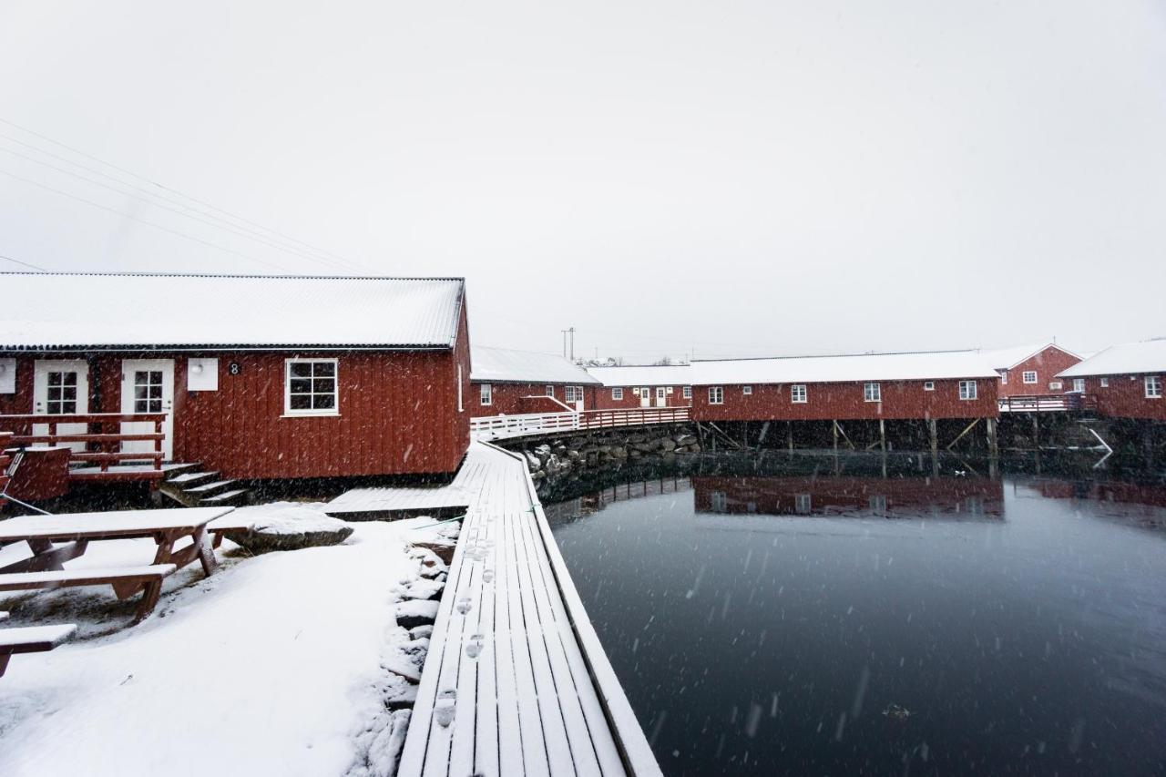 Lofoten Cabin And Kayak Rental ستامسوند المظهر الخارجي الصورة