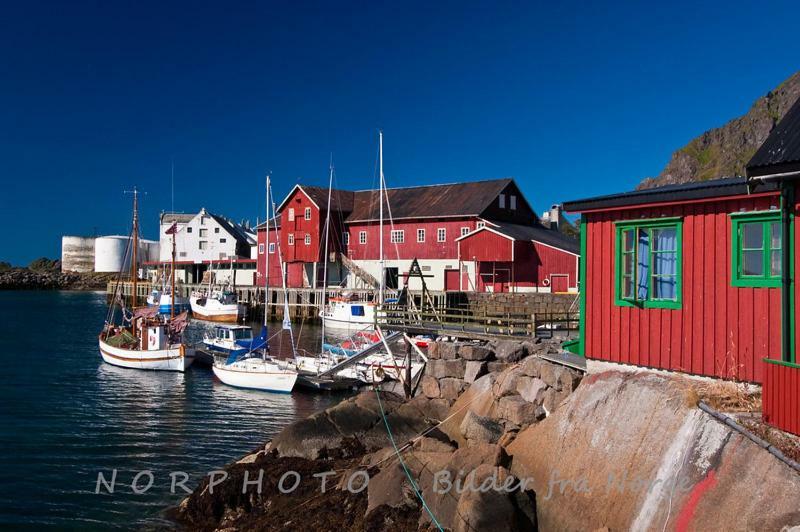 Lofoten Cabin And Kayak Rental ستامسوند المظهر الخارجي الصورة
