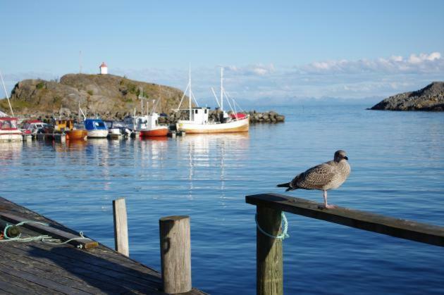 Lofoten Cabin And Kayak Rental ستامسوند المظهر الخارجي الصورة